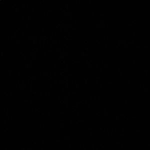 Meet your Posher, Danna